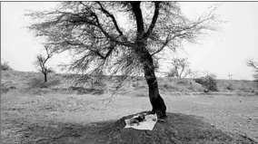  ??  ?? A baby lies under a tree as his mother works on a constructi­on site near Abu Road, in the northern Indian state of Rajasthan. (Photo: Reuters)