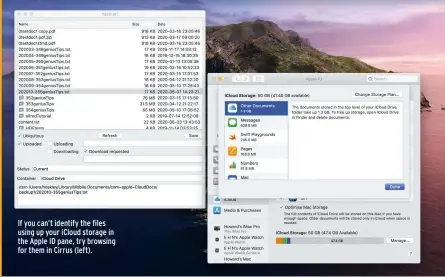  ??  ?? If you can’t identify the files using up your iCloud storage in the Apple ID pane, try browsing for them in Cirrus (left).