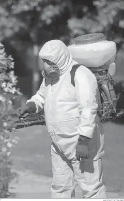  ?? ANTONIO PIZARRO ?? Un operario fumigando en un parque público de Coria del Río.