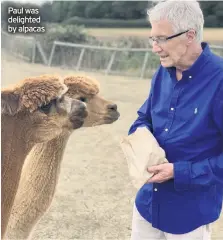  ??  ?? Paul was delighted by alpacas