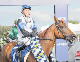  ?? Photo / Trish Dunell ?? Sam Collett guides Roger That to the winner’s enclosure.