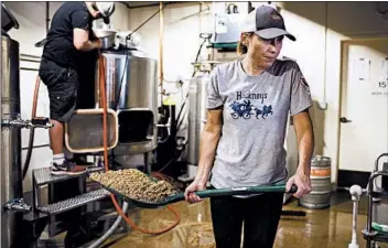  ?? CHRIS WALKER/CHICAGO TRIBUNE ?? Macushla Brewing owner Megan Welch and brewmaster David Kelley remove spent grain from a mash tun last month.