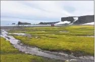  ?? Getty Images ?? Scientists walk on a beach covered with moss on Fildes peninsula, King George Island, Antarctica.