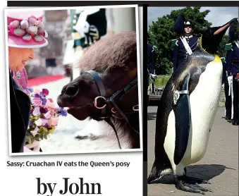  ??  ?? Sassy: Cruachan IV eats the Queen’s posy Knight: Brigadier Sir Nils Olav