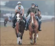  ?? Seth Wenig Associated Press ?? TIZ THE LAW, left, has won four of five races and is the only horse in Saturday’s field with a Grade 1 win.