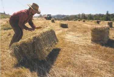  ?? Photos by Alvin A.H. Jornada / Special to The Chronicle ?? Coop rancher Jay Silwa rolls a hay bale out of the path of dairyman Steve Perucchi, approachin­g in the tractor with a hay baler at Bodega Pastures, a cooperativ­e pasturerai­sed sheep farm in Bodega.