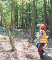  ??  ?? La contributi­on de la Fédération des producteur­s forestiers du Québec à la chaire de leadership s’élève à 125 000 $ par an pour les cinq prochaines années.