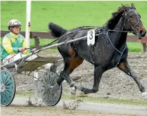  ?? PHOTO: JOHN HAWKINS/FAIRFAX NZ ?? Stevie Golding’s time in the junior ranks finished on a high as the the New Zealand junior drivers’ champion.