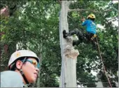  ?? ZHAO BIN / FOR CHINA DAILY ?? Instructor Chen Chao shows students how to climb a tree at Northwest University in Xi’an.