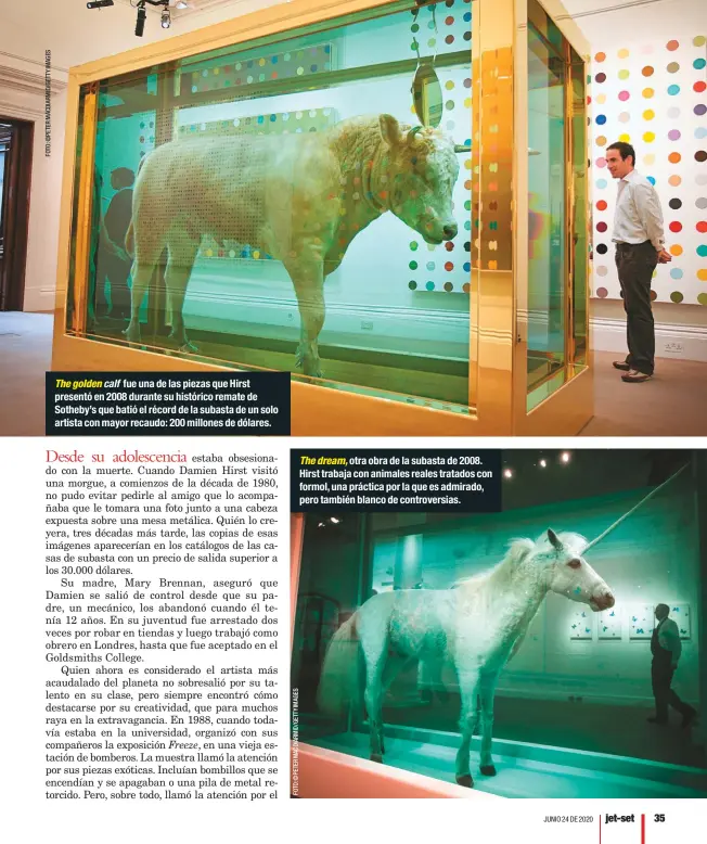  ??  ?? The golden calf fue una de las piezas que Hirst presentó en 2008 durante su histórico remate de Sotheby’s que batió el récord de la subasta de un solo artista con mayor recaudo: 200 millones de dólares.
The dream, otra obra de la subasta de 2008. Hirst trabaja con animales reales tratados con formol, una práctica por la que es admirado, pero también blanco de controvers­ias.