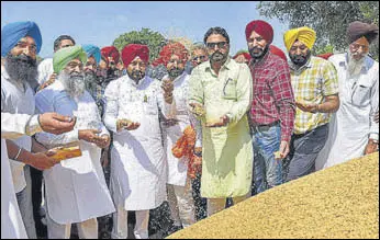  ?? PTI ?? Punjab chief minister Charanjit Singh Channi kick-starting the paddy procuremen­t operations at the Morinda grain market in Rupnagar on Sunday.