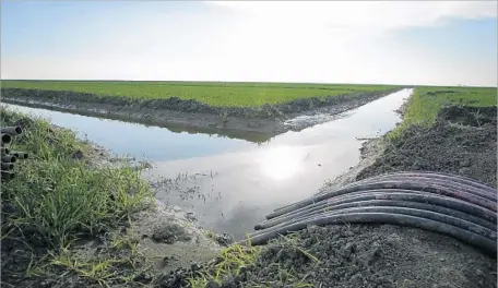  ?? Rich Pedroncell­i Associated Press ?? WATER f lows through an irrigation canal to crops near Lemoore, Calif. WaterFix is a major priority of the Brown administra­tion.