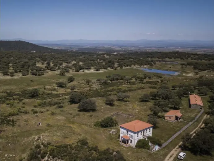  ?? © ?? Cañaveral in Extremadur­a: straks wordt de grond hier opengelegd voor het delven van lithium.
Carlos Rosillo/El País