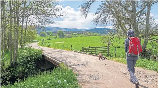  ??  ?? STILL DANGERS: Farmers are urging people who are heading to the countrysid­e during the lockdown to still show plenty of considerat­ion