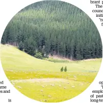  ?? Photo / File ?? A new report surveyed farmers to get their thoughts on planting trees in the Wairoa district.