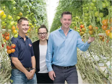  ??  ?? Minister for Industry, Employment and Resources Wade Noonan (right), on a visit to announce government support for an $11.5 expansion at Flavorite in Warragul, inspects some of the current crop of tomatoes with senior grower Will Millis and Member for...