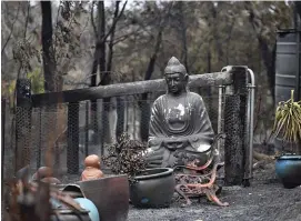  ?? Bild: Mick Tsikas ?? en buddha-staty och andra brandskada­de föremål i balmoral nära sydney.