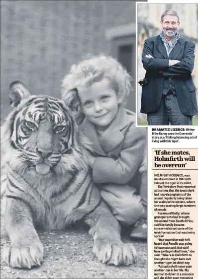  ??  ?? TIGER WHO CAME TO TEA: Rosamund Dailly said she considered Fenella ‘one of the family’ when she was younger; during rationing the big cat lived on horsemeat and a pint of milk for lunch.
DRAMATIC LICENCE: Writer Mike Kenny sees the Overends’ story as...