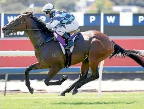  ??  ?? Tavidream makes it win number three five starts at Ellerslie yesterday.