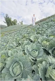  ?? ?? Pichai Pongsasaov­apark visited a vegetable farm for his research.