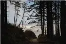  ?? Photograph: Jovelle Tamayo/The Guardian ?? A viewpoint of the ocean at Seagate Road at the Quinault Indian Nation in Taholah, Washington. The Seagate Road viewpoint has eroded over time due to the sea level rising, said tribal treasurer Larry Ralston.