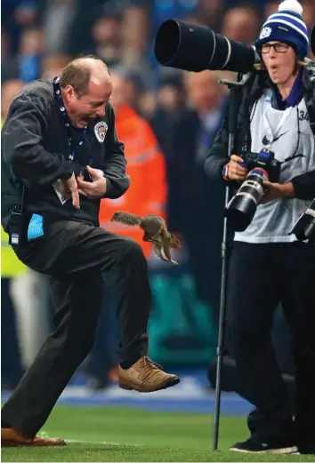  ??  ?? Forest fan: The furry pitch invader gives another groundsman a nip on the hand