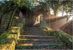  ??  ?? Leaf-strewn stone steps take the walker up to conflictin­g pathways under the shady canopy (left).