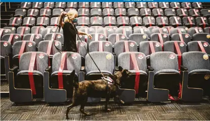  ?? Www.margirenti­s.com ?? One Betta is one of four dogs trained to sniff out COVID-19 at Florida Internatio­nal University.