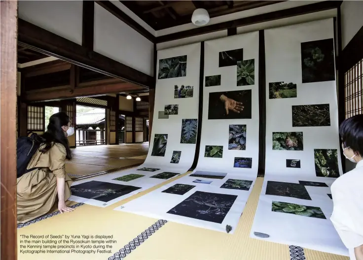  ?? ?? “The Record of Seeds” by Yuna Yagi is displayed in the main building of the Ryosokuin temple within the Kenninji temple precincts in Kyoto during the Kyotograph­ie Internatio­nal Photograph­y Festival.