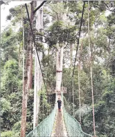  ?? ?? Exploring the Maliau Basin Conservati­on Area.