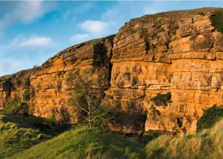  ??  ?? Above: Stunning limestone geology at Cleeve Hill on the Cotswold Way.