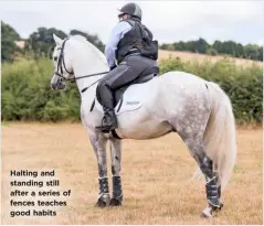  ??  ?? Halting and standing still after a series of fences teaches good habits WWW.YOURHORSE.CO.UK