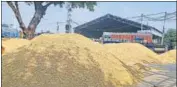  ?? HT PHOTO ?? The premium basmati varieties, including PB 30, is being sold above ₹ 6,000 per quintal.