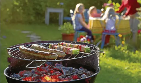  ?? FOTO: ISTOCK ?? Laut der Umweltschu­tzorganisa­tion WWF stammt über die Hälfte der Grillkohle auf dem EU-Markt aus Tropenwäld­ern.