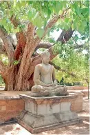 ??  ?? A Buddha statue under a Bo tree in Anuradhapu­ra: Peace is the essential teaching of Buddhism.