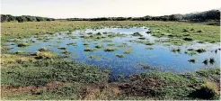  ?? ?? FILE PHOTO: Despite their significan­ce to human life, wetlands are threatened nationally and globally. The 2018 National Biodiversi­ty Assessment found that at least 79% of South Africa’s wetland ecosystems are threatened.