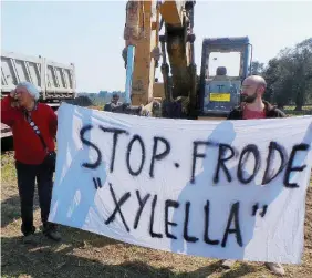 ?? Ansa/LaPresse ?? Ambientali­sti controLe manifestaz­ioni degli ambientali­sti contro il taglio degli ulivi per la Xylella