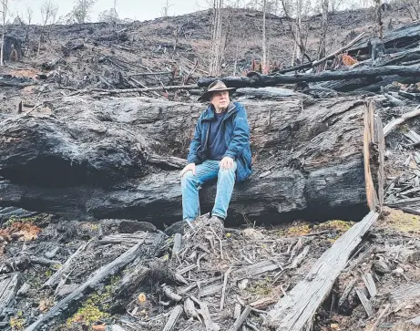  ?? Picture: FRANK MACGREGOR ?? CUT TO THE CORE: Charles Wooley sits in a clear-felled section of a Tasmanian rainforest.