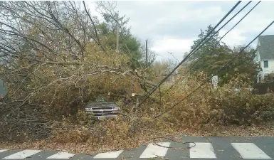  ?? JOHN CHRISTOFFE­RSEN/AP ?? In this Oct. 30, 2012, file photo, a truck sits covered with tree debris in Fairfield, Conn., after Superstorm Sandy made landfall overnight.