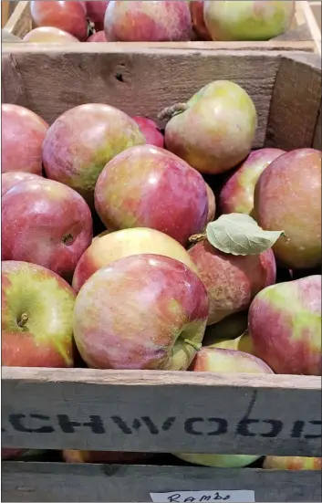  ?? PHOTO BY EMILY RYAN ?? Bins of apples tempt Swarthmore Co-op shoppers.