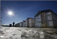  ?? ROBERT F. BUKATY — THE ASSOCIATED PRESS FILE ?? In this file photo, fisherman Tom Cowper of Peabody, Mass., walks from his ice fishing shack at Jim Worthing’s Smelt Camp on the Kennebec, River in Pittston, Maine. Fishermen and state regulators said the population of smelt appears to have made a...