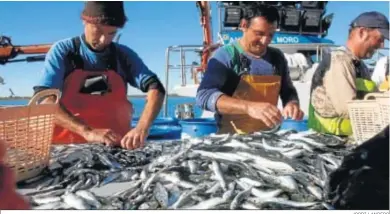  ?? JORDI LANDERO ?? Pescadores de Punta Umbría, con una captura de sardinas.