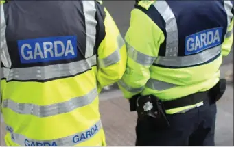  ??  ?? Gardaí were led on a high-speed chase reaching speeds of up to 140km/h in the Bunclody area.