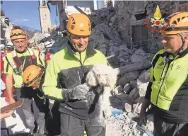  ?? ITALIAN FIREFIGHTE­R VIGILI DEL FUOCO VIAASSOCIA­TED PRESS ?? A dog is rescued Thursday from the rubble in Amatrice, Italy. Rescue crews raced against time looking for survivors from the earthquake that leveled three towns in central Italy.