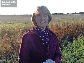 Councillor­s resign amid accusation­s of ‘bullying’ - PressReader