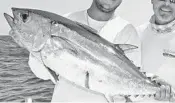  ?? STEVE WATERS/SUN SENTINEL ?? Florida officials move to tighten rules for blackfin tuna.