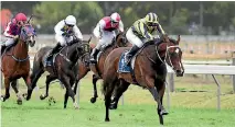  ??  ?? Sofia Rosa is being aimed at a clash with super mare Winx in the Group I Queen Elizabeth Stakes.