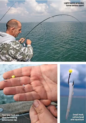  ??  ?? Small hook, yellow bead and squid bait Two-way beds are ideal for making paternoste­r rigs Light tackle provides some serious sport