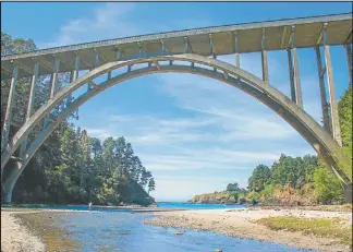  ??  ?? AL SOL. Este puente de 1938 se extiende en el Parque Estatal Russian Gulch, que atraviesa todo tipo de terrenos, desde playas hasta bosques pasando por cursos de agua y cascadas. Lo visitan especialme­nte para hacer picnics y caminatas. (Izq.) Las amapolas, silvestres o cultivadas inundan California. Este año van tantos turistas que el alcalde de Lake Elsinor solicitó incluso que evitaran pisarlas.