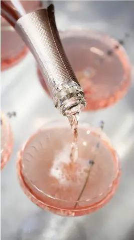  ?? FOTO: MOSTPHOTOS ?? Rosa champagne finns det från tidigare, och nu kommer då den rosa proseccon. Prosecco får sina bubblor under den andra jäsningen i ståltank, vilket leder till ett lättare, fruktigare och även förmånliga­re vin. Rosévarian­ten kommer till stilen att påminna om den gula proseccon, även om de röda druvorna tillför ett visst djup.